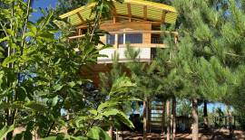 Parcela con casa en Curapalihue