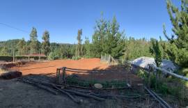 Parcela con casa en Curapalihue