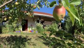 Parcela con casa en Curapalihue