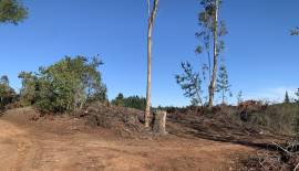 solo 3 parcelas cerca de Concepción, Retorno San Nicolás, zona tranquila.