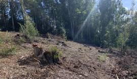 Sitio rural en Puente 4