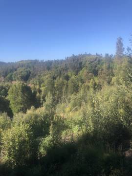 Sitio rural en Puente 4