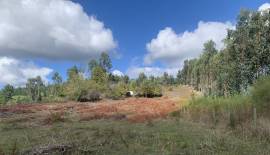 Parcela sector Cangrejillos, cerca de Concepcion
