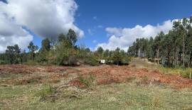 Parcela sector Cangrejillos, cerca de Concepcion