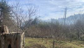 Gran Parcela con casa patronal a pasos de la ruta