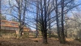 Gran Parcela con casa patronal a pasos de la ruta