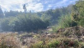 Gran Parcela con casa patronal a pasos de la ruta