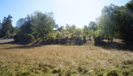 Precioso y completo Mini Campo a menos de 1/2 hora del centro de Concepcion