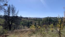 Parcela de 188 m² construidos | 100 Olivos | Entorno Natural en Portezuelo