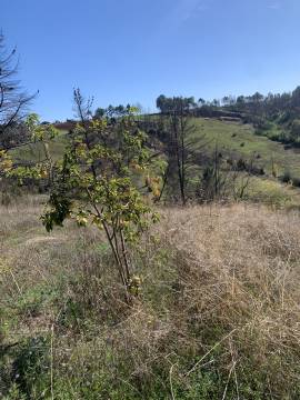 Parcela de 188 m² construidos | 100 Olivos | Entorno Natural en Portezuelo